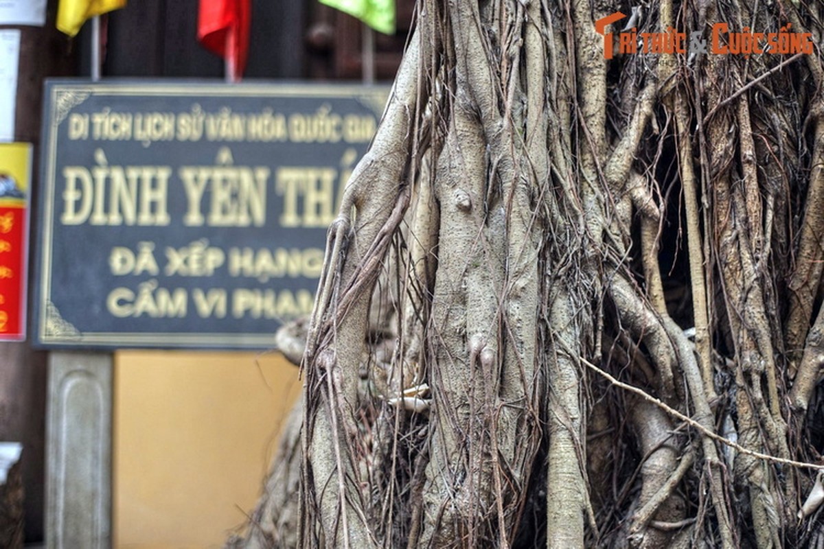 Kham pha ngoi dinh tho Nguyen phi Y Lan giua pho co Ha Noi-Hinh-11