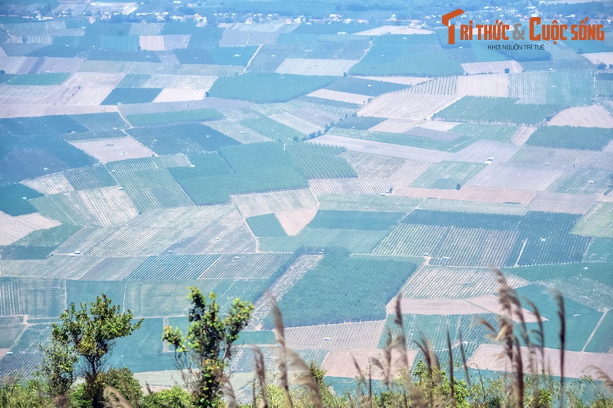 Nhung canh tuong ghi sau vao tam tri o vung dat Tay Ninh-Hinh-3