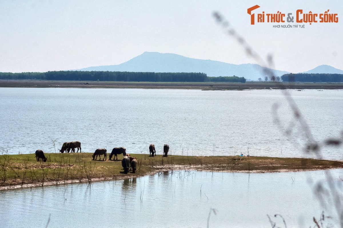 Nhung canh tuong ghi sau vao tam tri o vung dat Tay Ninh-Hinh-5