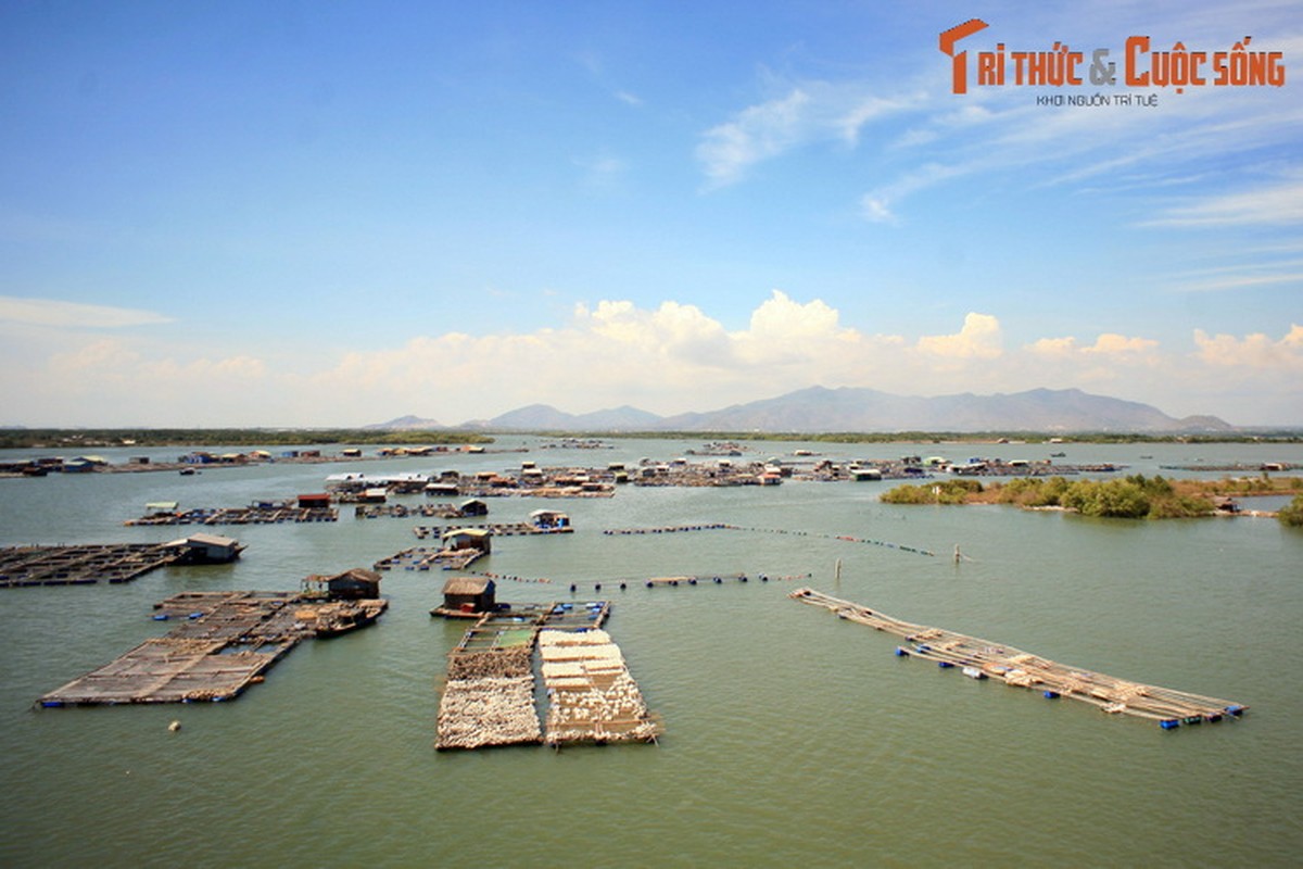 Nhung dieu cuc thu vi o lang be noi tieng nam canh Vung Tau-Hinh-11