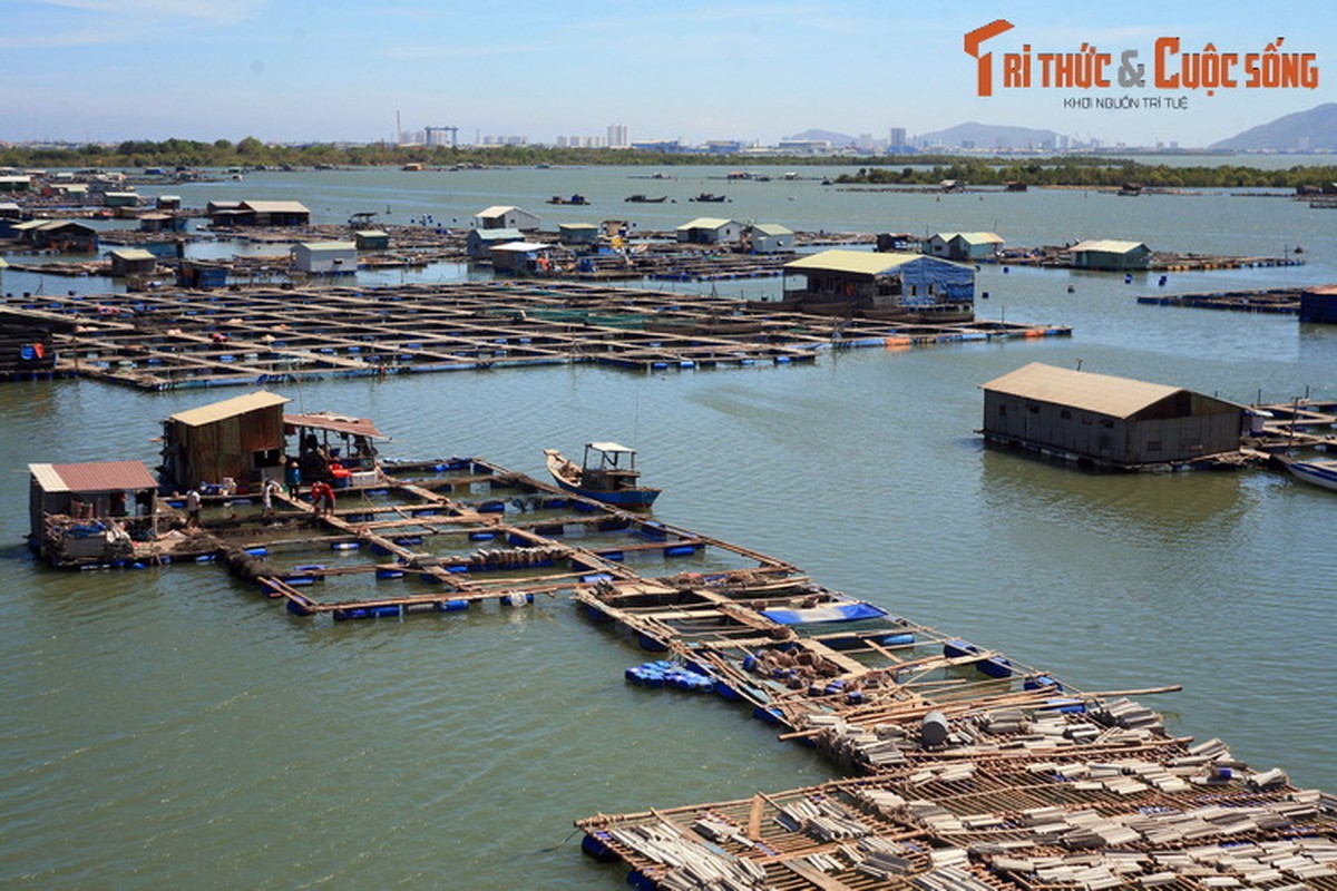 Nhung dieu cuc thu vi o lang be noi tieng nam canh Vung Tau-Hinh-13