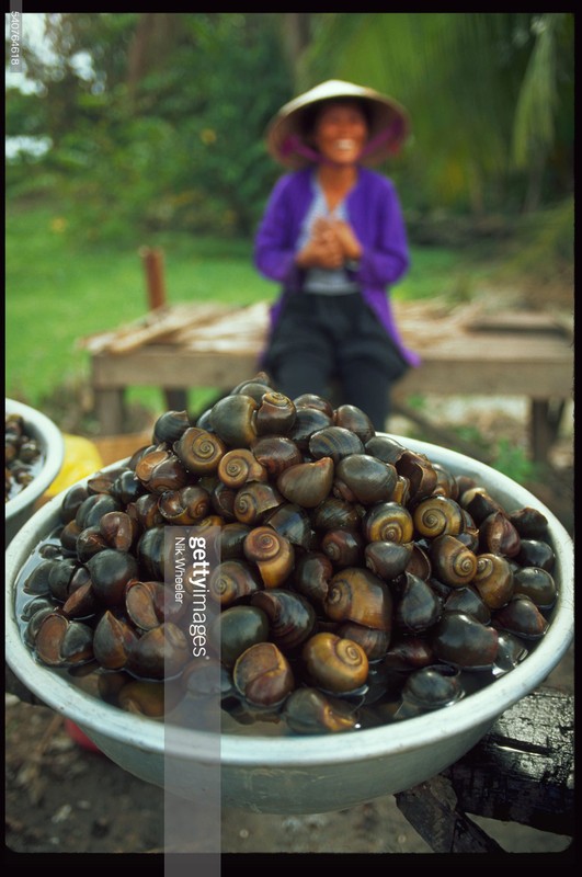 Loat anh tuyet voi ve Viet Nam nam 1995 cua Nik Wheeler-Hinh-9