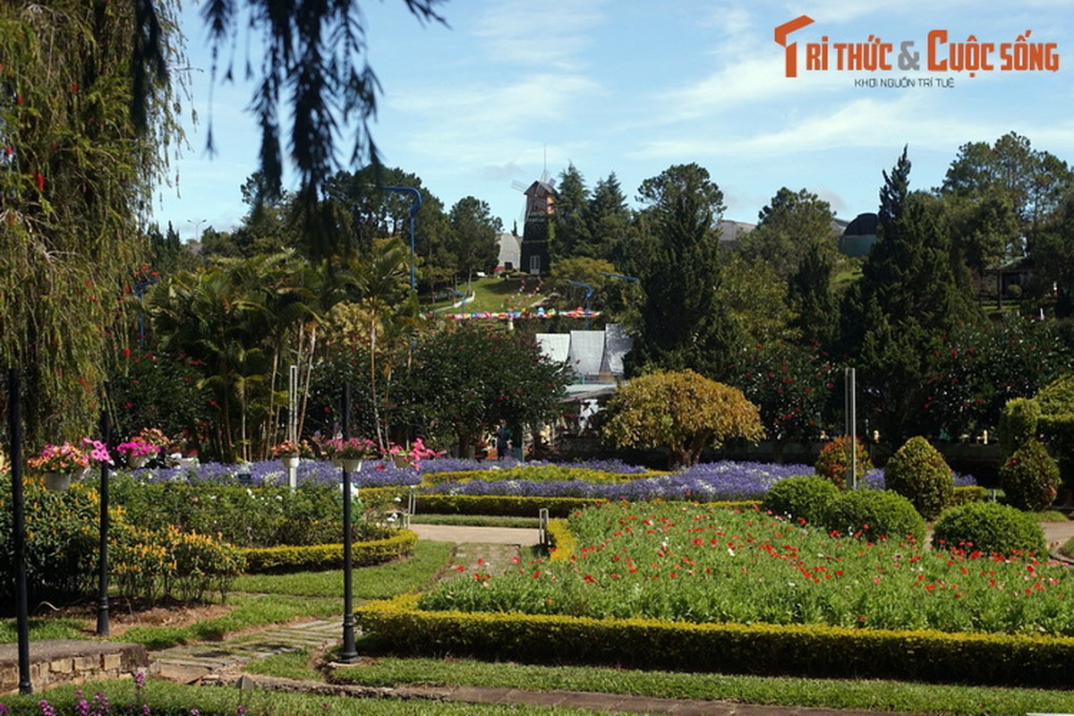 Dieu bat ngo ve vuon hoa lau doi, hut khach nhat Da Lat-Hinh-2