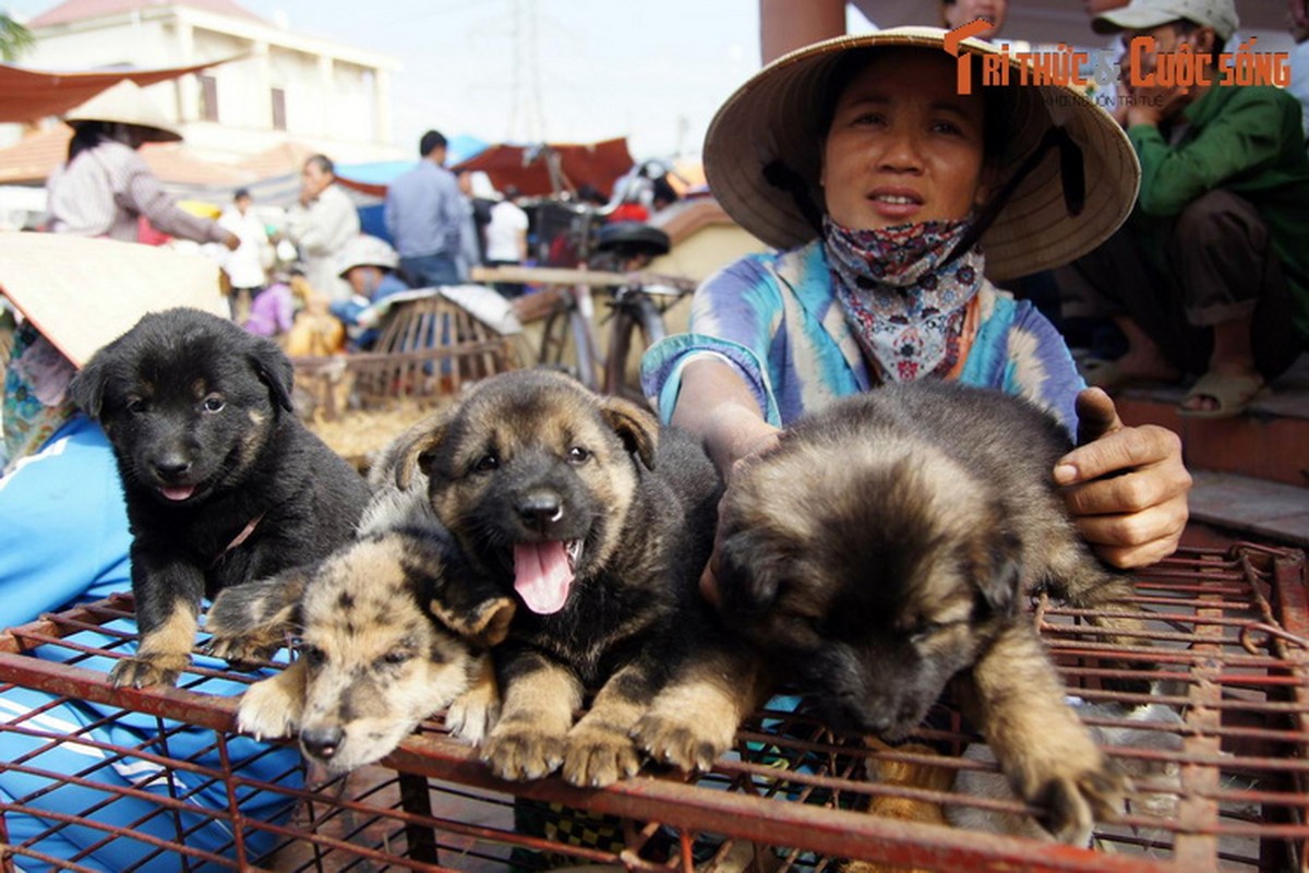 Ve dep doi thuong cua nguoi phu nu khap ba mien Viet Nam-Hinh-2