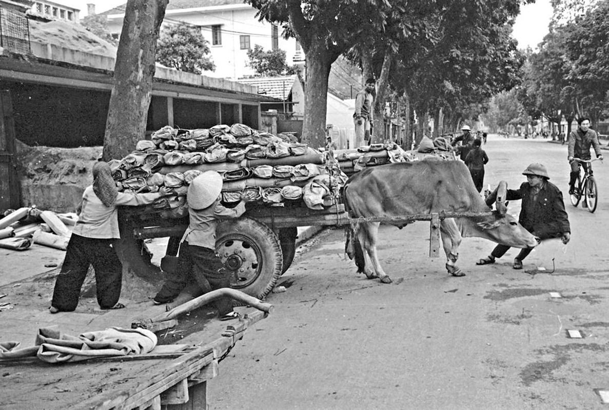 Buc tranh giao thong thu vi o Ha Noi nam 1973-Hinh-12