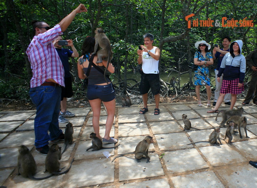 Trai nghiem khong the bo lo o vung dat Can Gio-Hinh-6