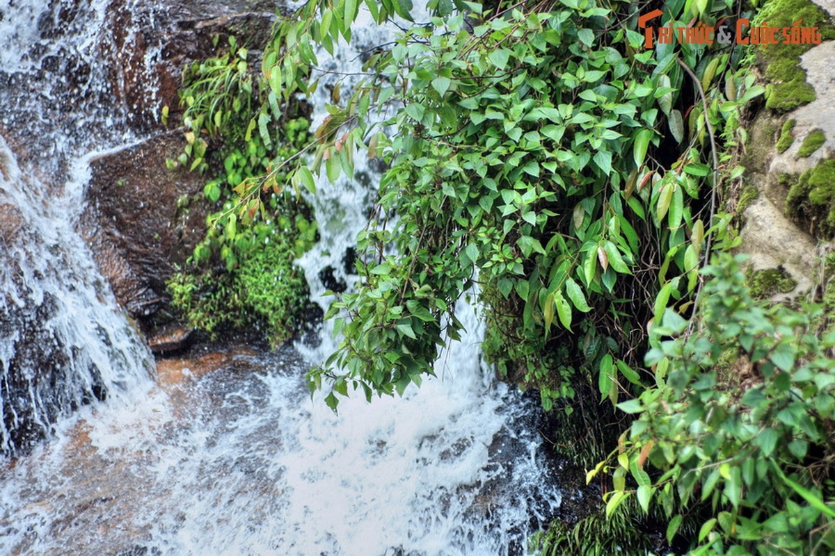 Kham pha dieu ky thu tren duong tu Lai Chau di Sa Pa-Hinh-11