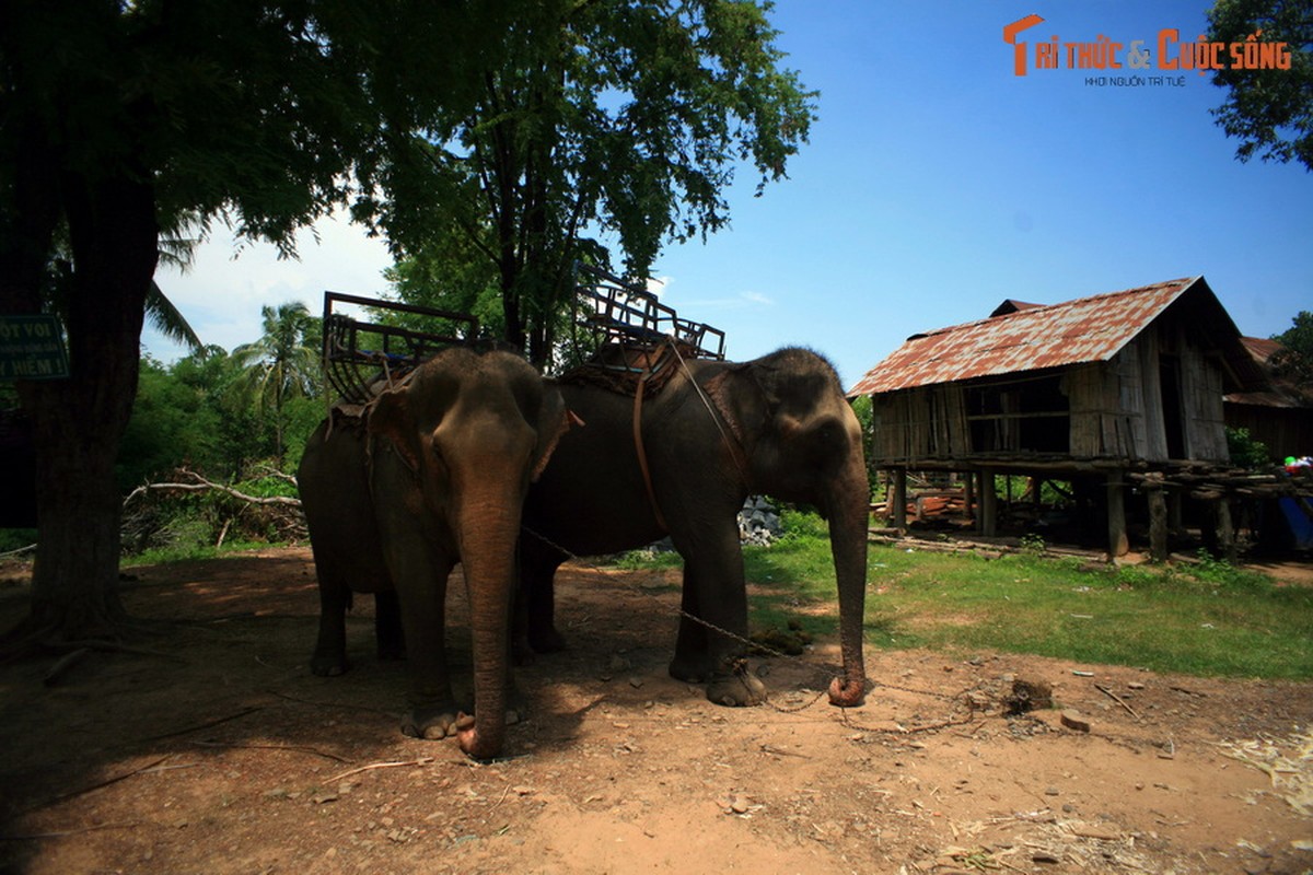 Diem dung chan dac biet tren duong tu Ban Don di Pleiku