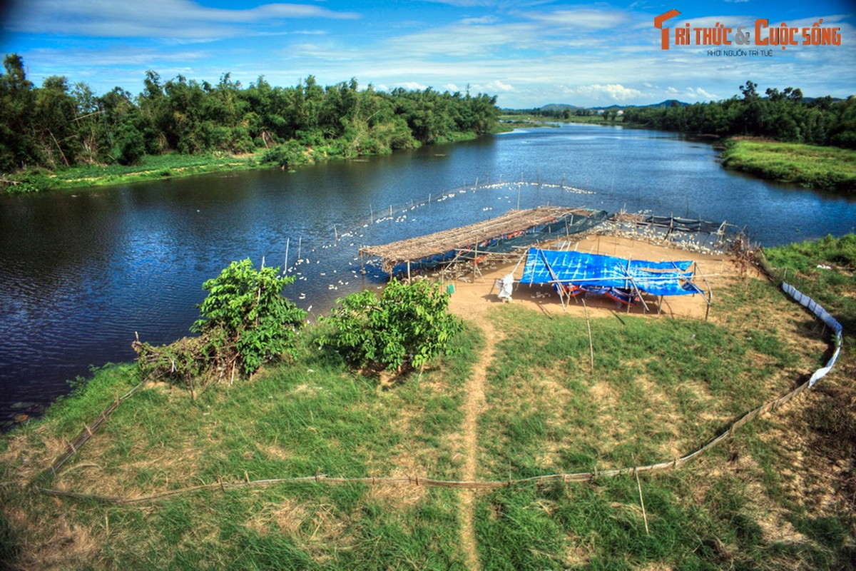 Buc tranh phong canh dam say long nguoi cua manh dat Quang Nam-Hinh-10