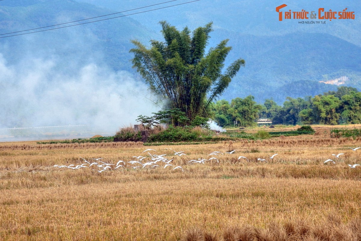 Man nhan voi phong canh tuyet voi cua manh dat Cao Bang-Hinh-8