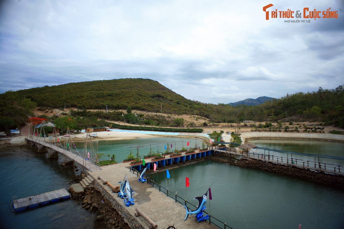 Sung sot dai duong trong long ho tren hon dao nho gan Nha Trang-Hinh-3