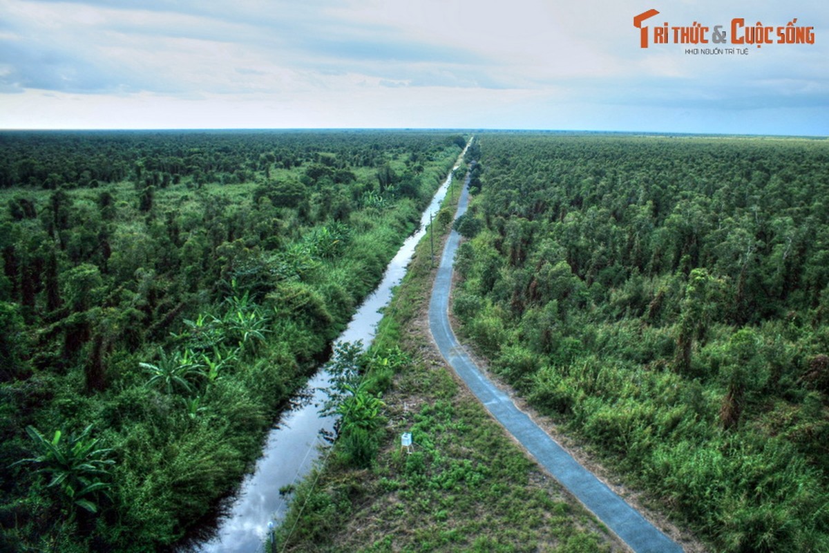 Lac loi o khu rung dam lay than bun co 1-0-2 Viet Nam-Hinh-5