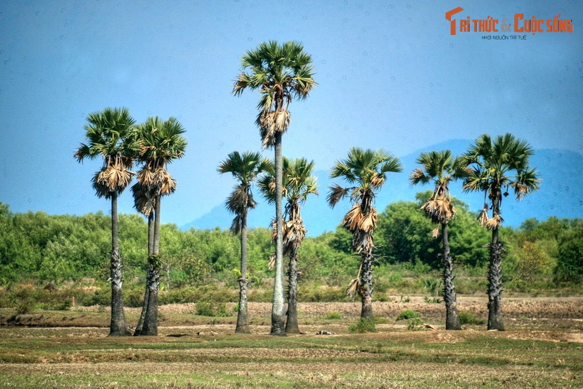 Kham pha dieu thu vi chi co the gap tren cac cung duong mien Tay-Hinh-8