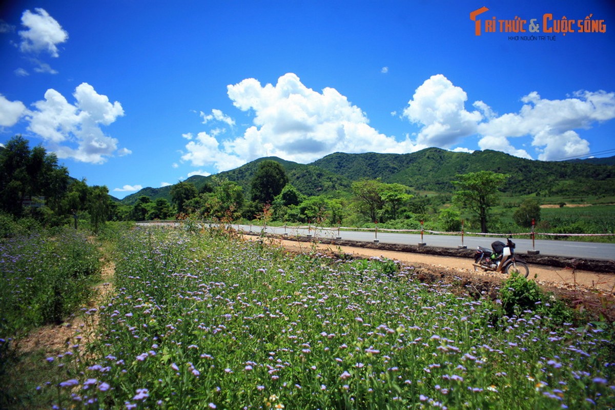 Loat khoanh khac kho quen tren cac cung duong Tay Nguyen-Hinh-5