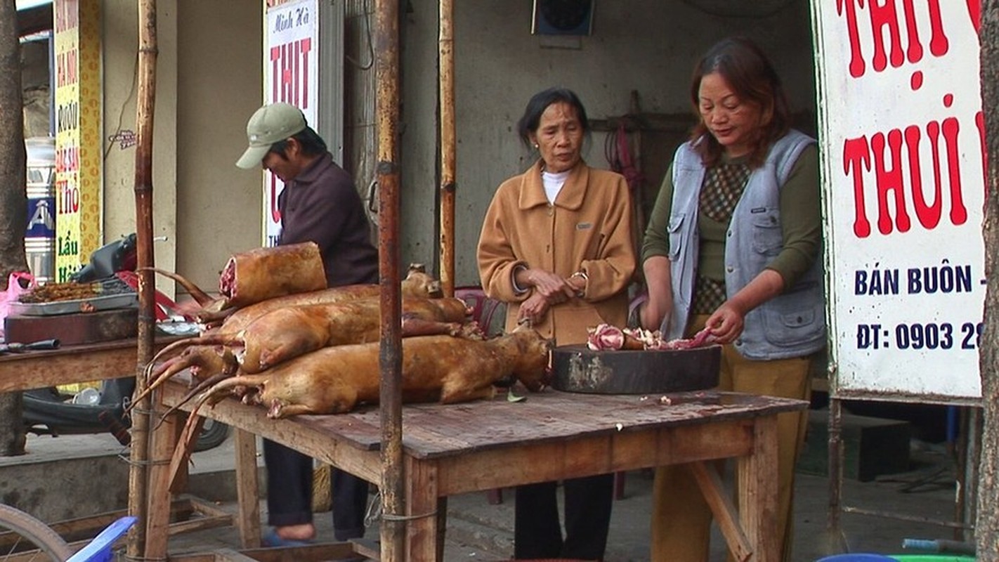 View - 	Món thịt chó ở Việt Nam 17 năm trước qua góc nhìn khách Tây