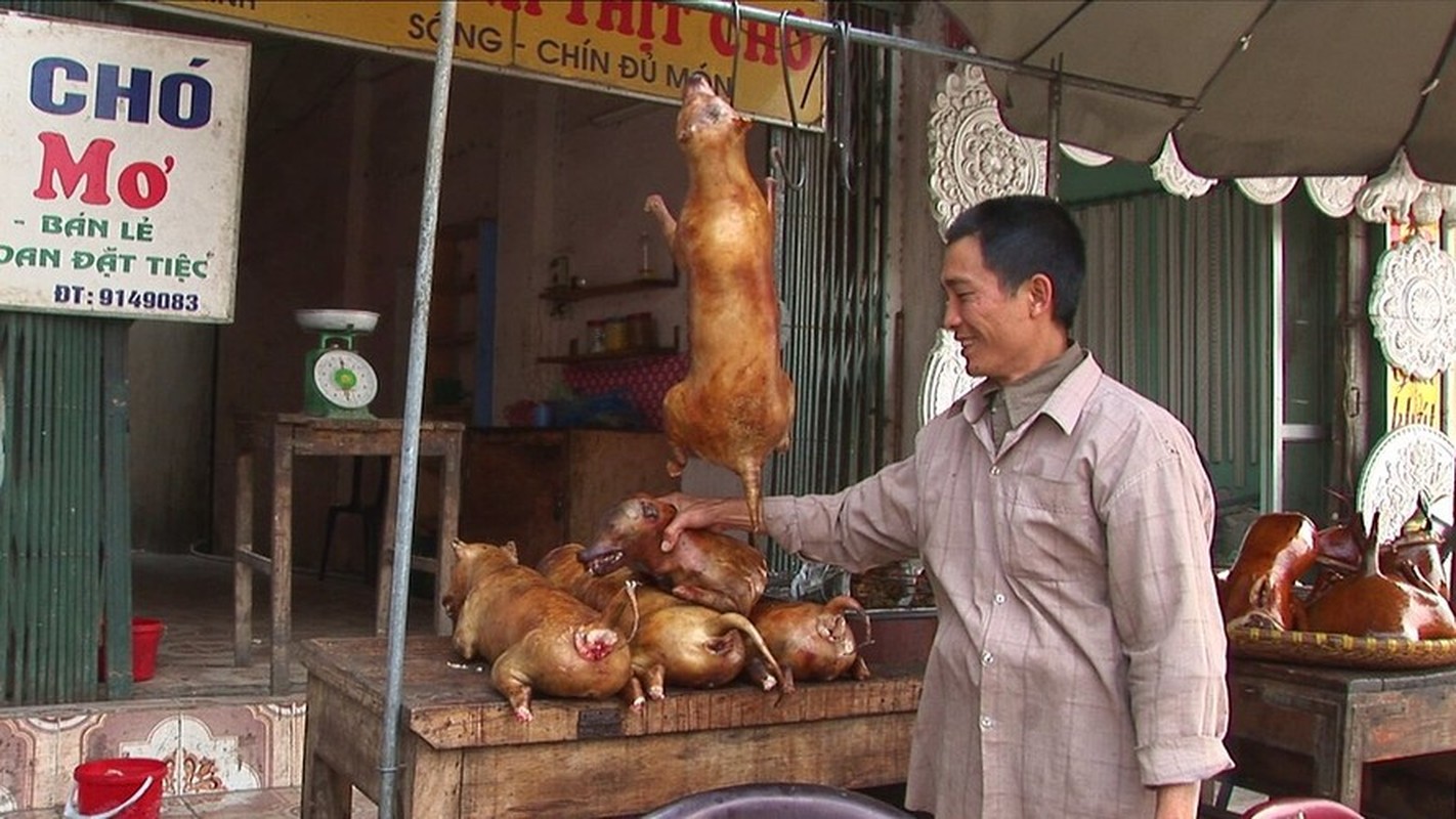 View - 	Món thịt chó ở Việt Nam 17 năm trước qua góc nhìn khách Tây