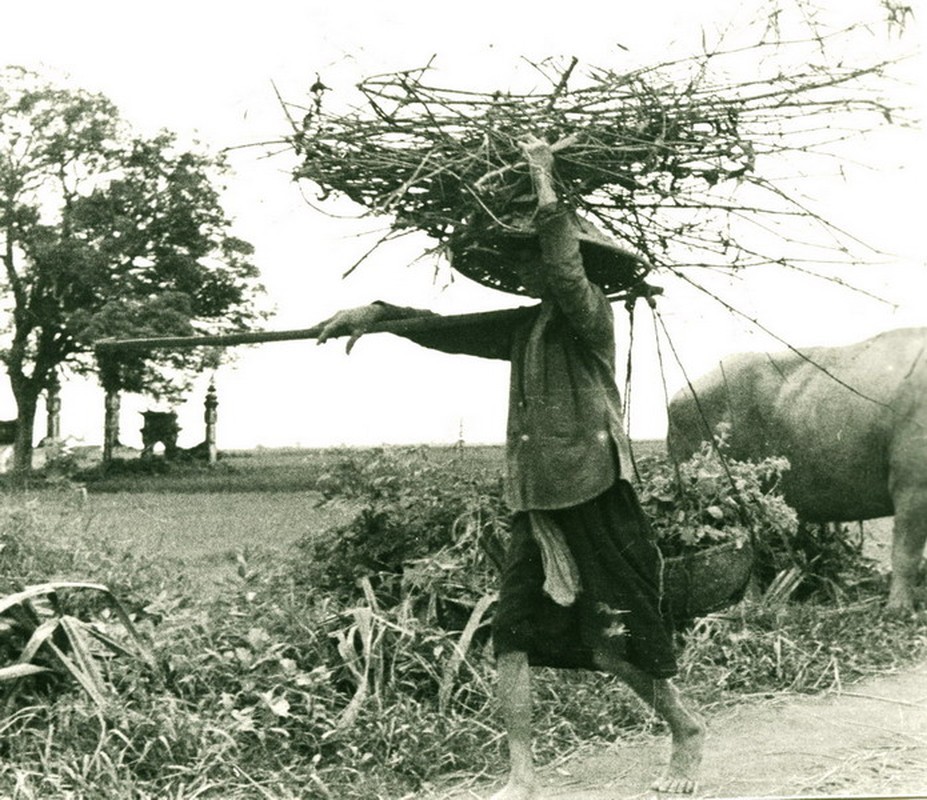 Anh quy hon vang ve vung nong thon Ha Noi 70 nam truoc-Hinh-5