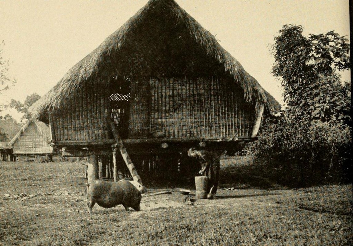 Hinh doc ve doi song o Viet Nam trong cuon sach in nam 1944-Hinh-10