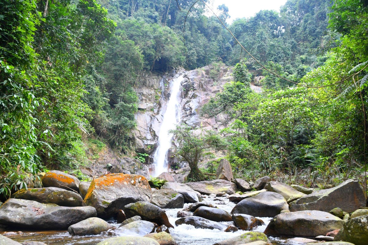 Vuon Quoc gia Vu Quang – “la phoi xanh” cua Ha Tinh-Hinh-10