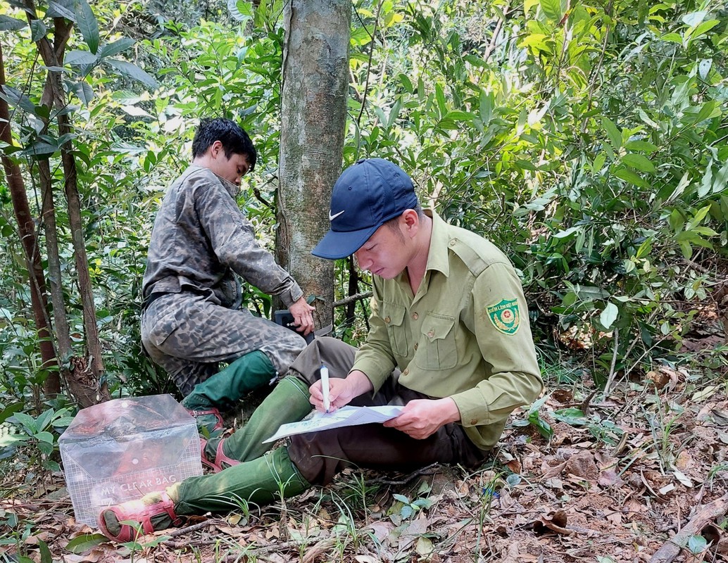 Vuon Quoc gia Vu Quang – “la phoi xanh” cua Ha Tinh-Hinh-6