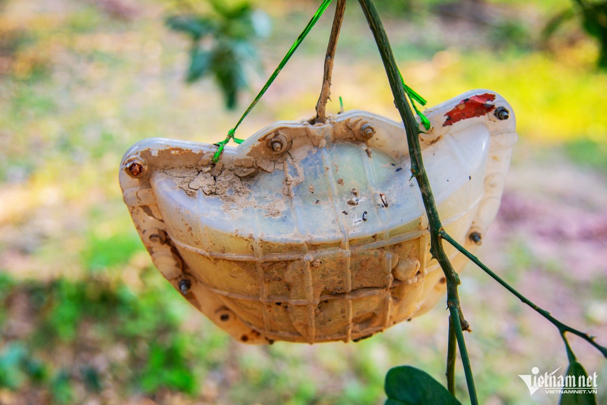 Nua trieu dong moi qua buoi do tien vua cung khong co de ban-Hinh-6