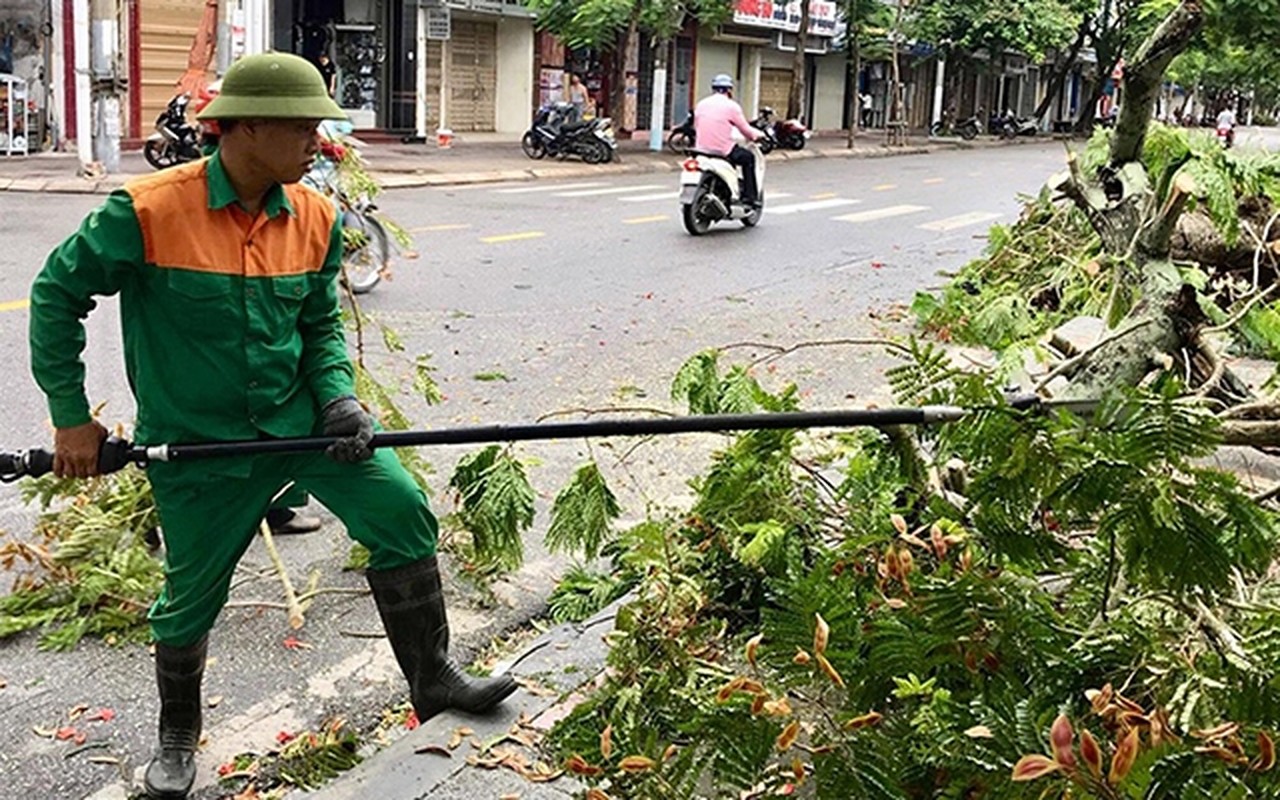 Bao Bailu sap hoanh hanh: Nhung con so thiet hai soc tu dau nam do bao-Hinh-10