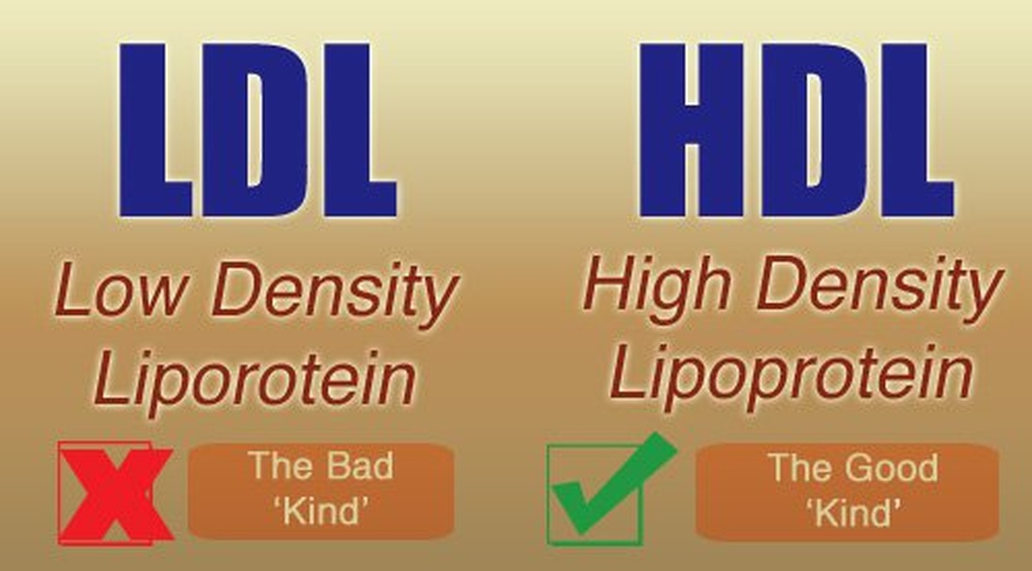 Ly giai hien tuong cholesterol cao o nguoi gay-Hinh-6
