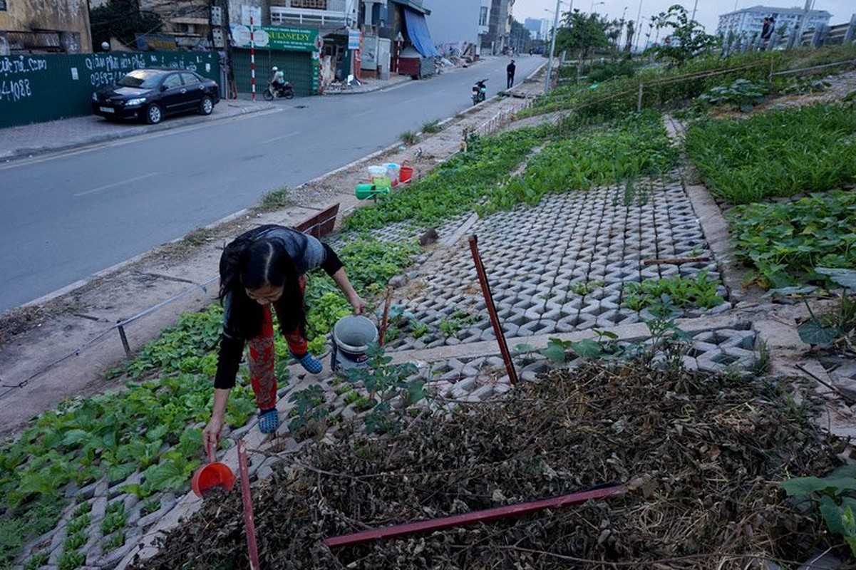 Xem nguoi Ha Noi trong rau hoc da nhu dan H'Mong-Hinh-2