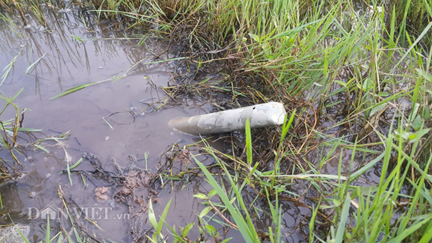 Kiem bac trieu moi ngay giua mua nang nho bay luon dong-Hinh-4