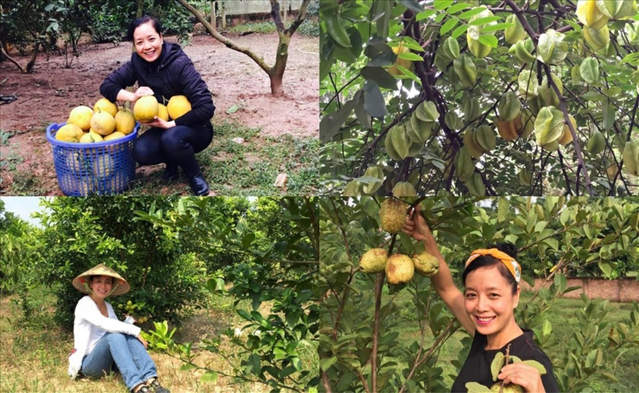 Co ngoi cua vo chong dien vien Chieu Xuan o Ha Noi-Hinh-6