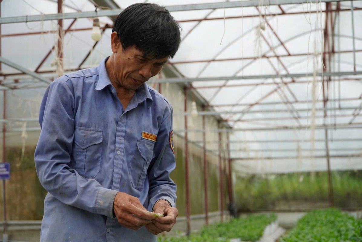 Ha Tinh: Nong dan lang hoa tat bat chuan bi hang Tet-Hinh-4