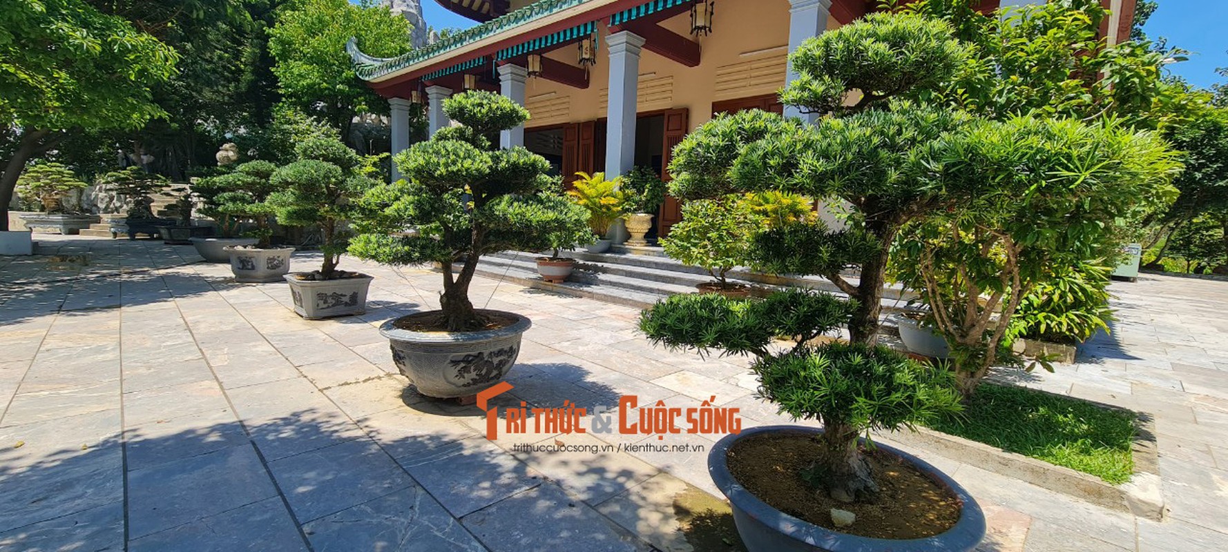 Can canh nhung cay bonsai 'vo gia' o ngoi chua linh thieng nhat Da thanh-Hinh-28