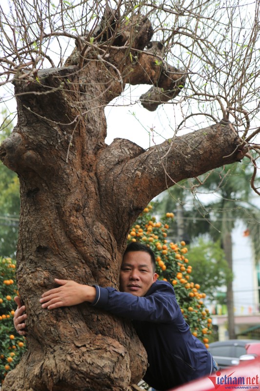 Dao co thu gia khung gan 100 trieu o Thanh Hoa-Hinh-3