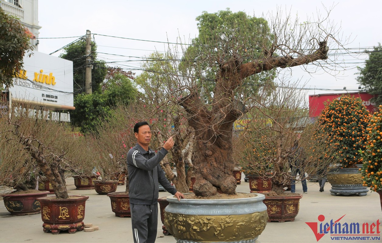 Dao co thu gia khung gan 100 trieu o Thanh Hoa