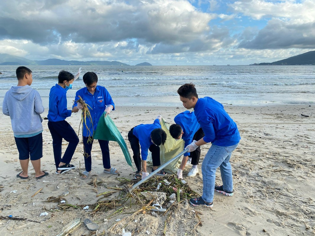 View - 	Đà Nẵng: Huy động hàng nghìn người dọn rác dạt vào bãi biển 