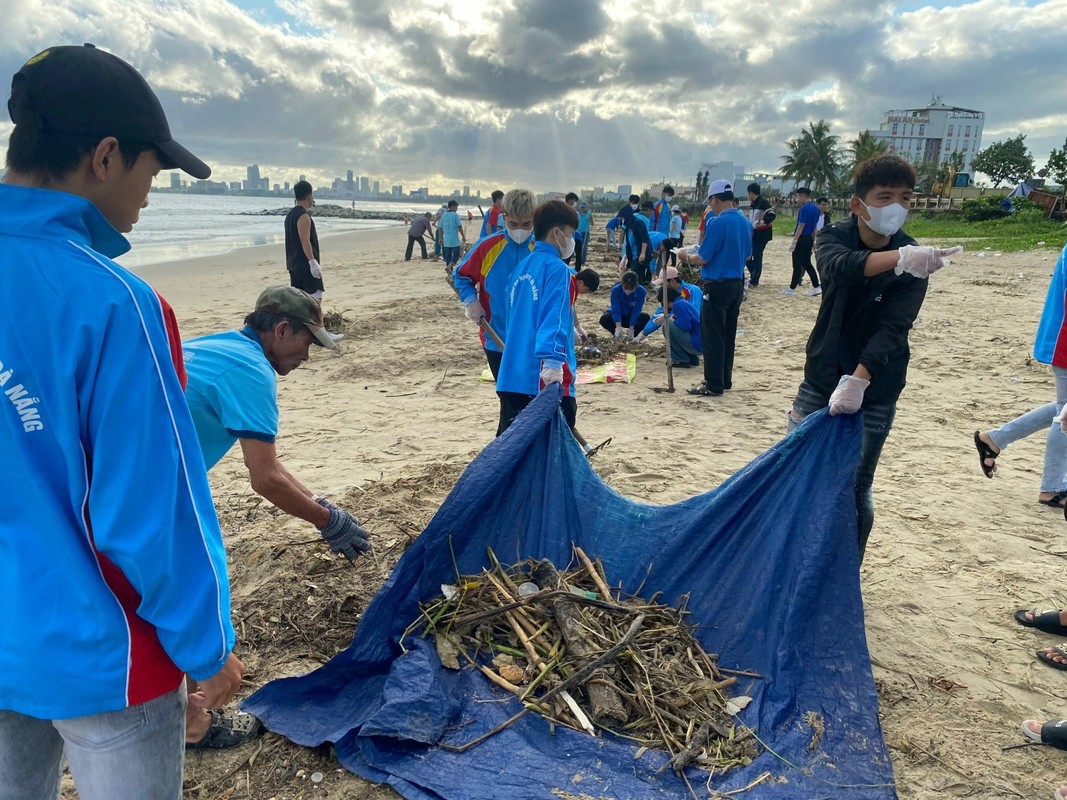 View - 	Đà Nẵng: Huy động hàng nghìn người dọn rác dạt vào bãi biển 