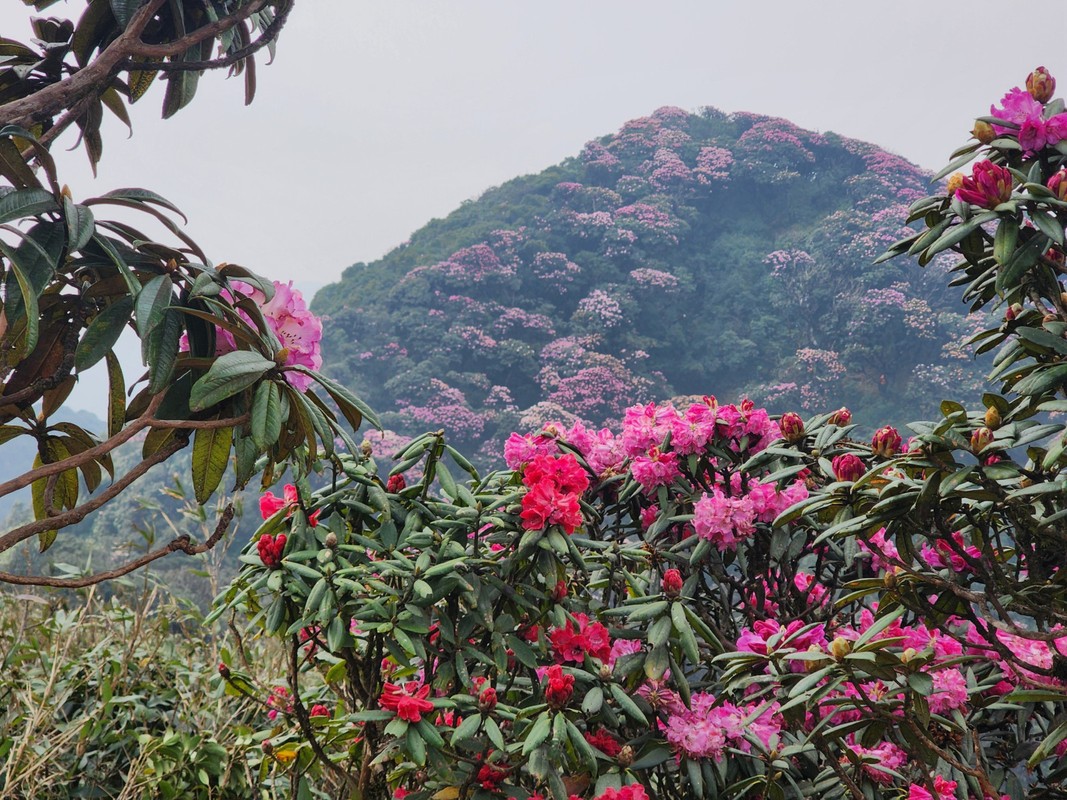 View - 	Choáng ngợp vẻ đẹp hoang sơ của Pu Ta Leng 