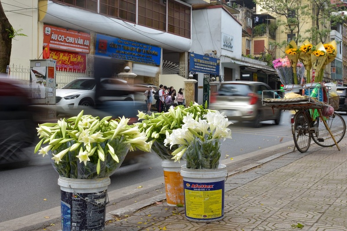 Hoa loa ken tinh khoi mang toi nhung khoanh khac diu dang-Hinh-14