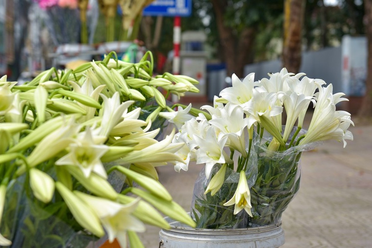 Hoa loa ken tinh khoi mang toi nhung khoanh khac diu dang-Hinh-2