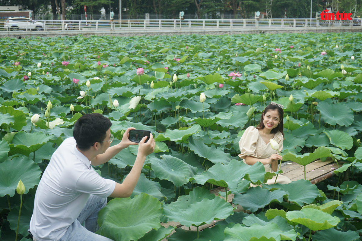 Thieu nu Ha Thanh dep diu dang ben hoa sen ho Tay-Hinh-2