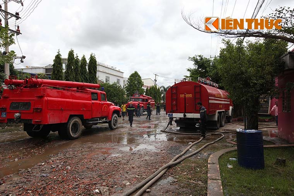 Chay kinh hoang o Long An, hang tram CS TP HCM xuong chi vien-Hinh-5