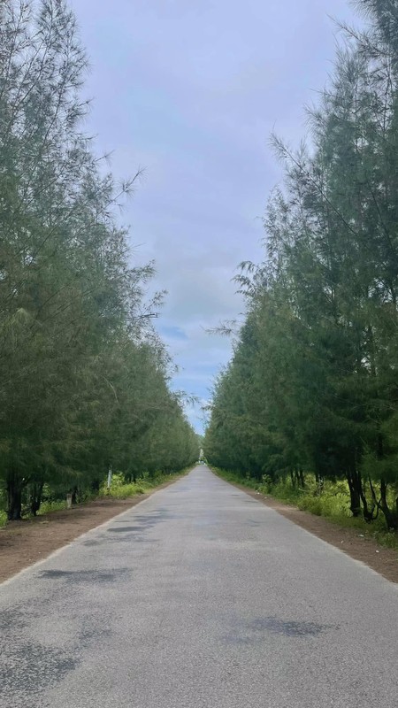 Chiem nguong ve dep bat tan cua dao Quan Lan-Hinh-4