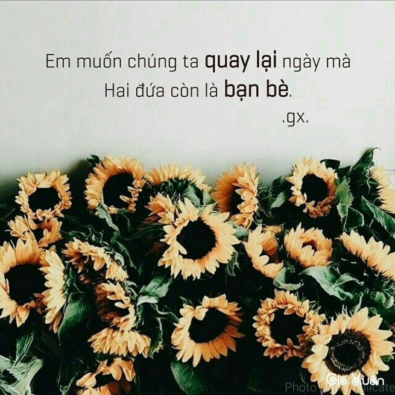 Du doan ngay moi thu Bay 17/10 cua 12 con giap: Bat ngo thu nhap cua Suu-Hinh-9