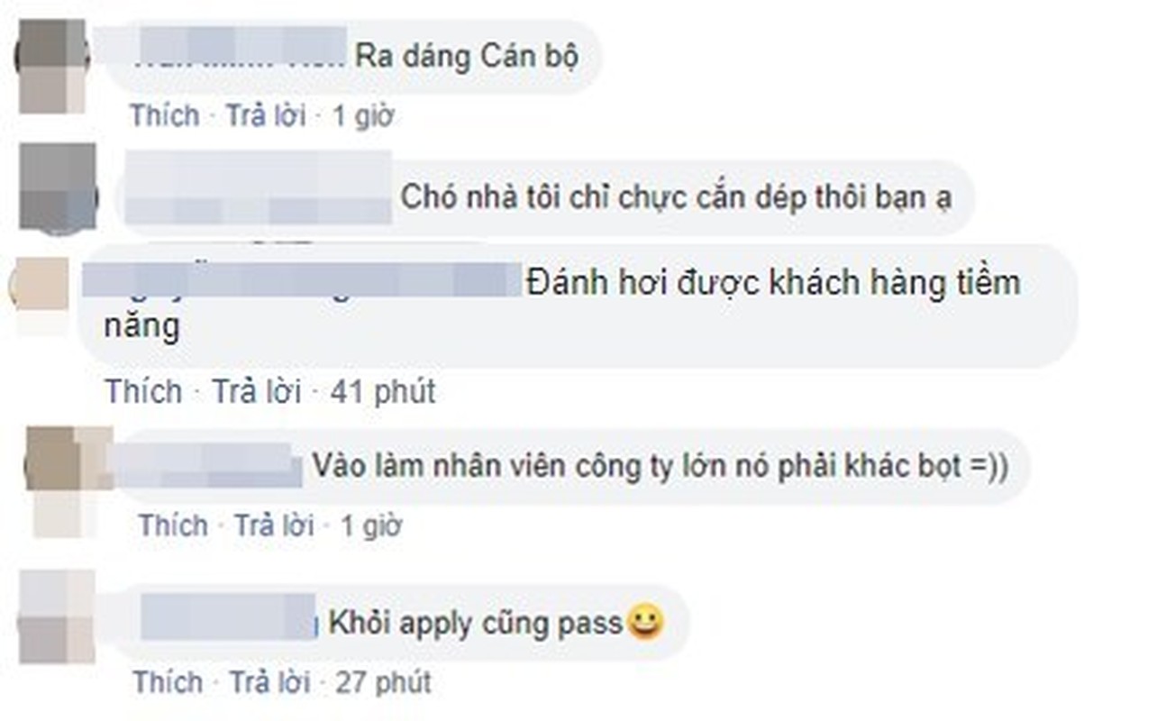 Chu cho bong noi tieng MXH khi duoc nhan vao lam cong viec nay-Hinh-6