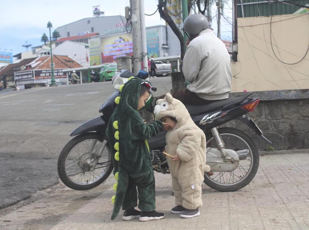 “Gau trang va khung long” ti hon lang thang Da Lat gay sot MXH-Hinh-3