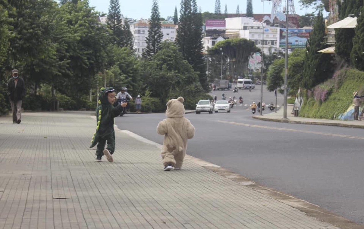 “Gau trang va khung long” ti hon lang thang Da Lat gay sot MXH-Hinh-4