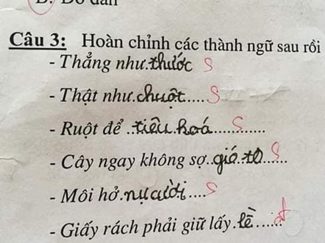 Hoc sinh dien thanh ngu, co giao doc xong chi biet “dung hinh“-Hinh-4