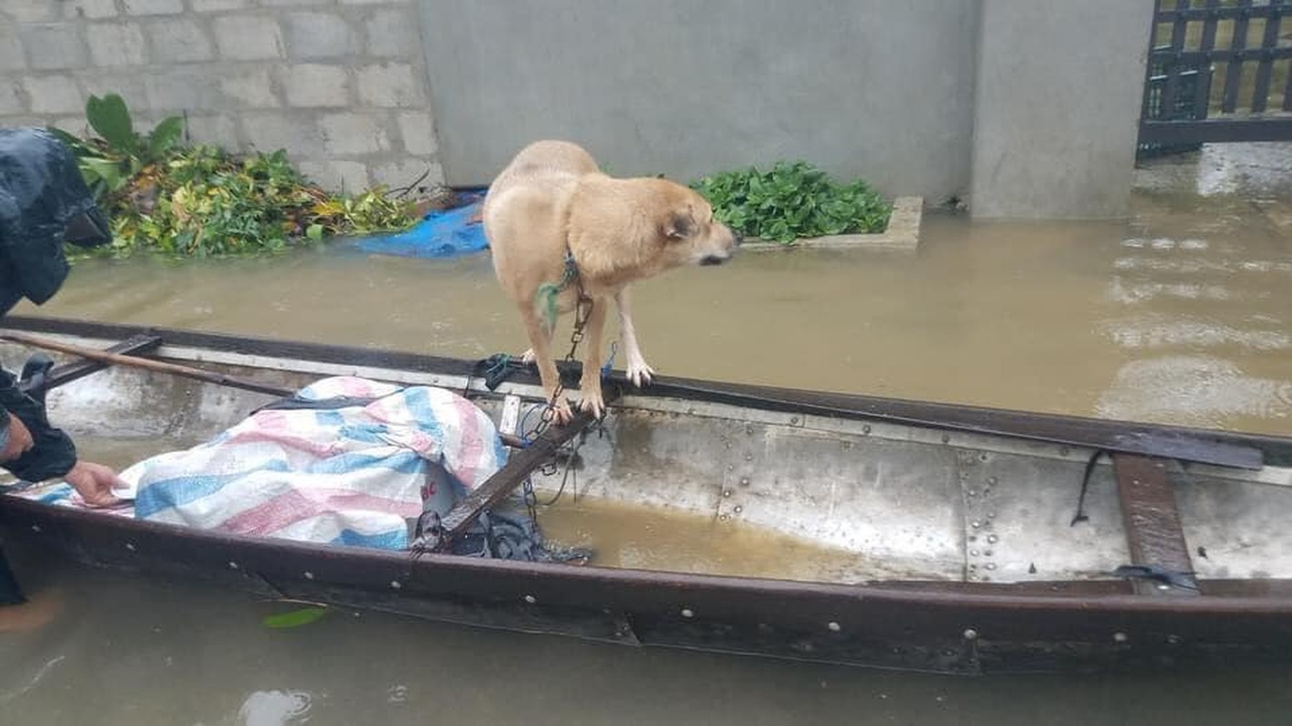 Lu lut mien Trung nhin loat “boss” co ro ma thuong tam-Hinh-10