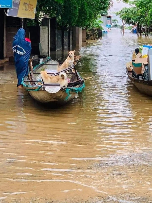 Lu lut mien Trung nhin loat “boss” co ro ma thuong tam-Hinh-7