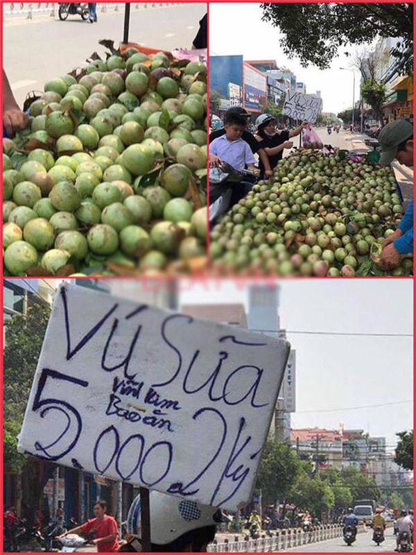 Loat bien quang cao hang rong “lua tinh” tuong gia re nhu cho-Hinh-4